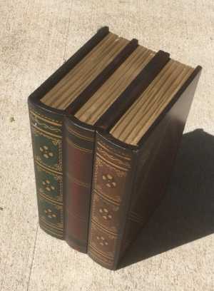 Fake Hollow 3 Book Case Cover